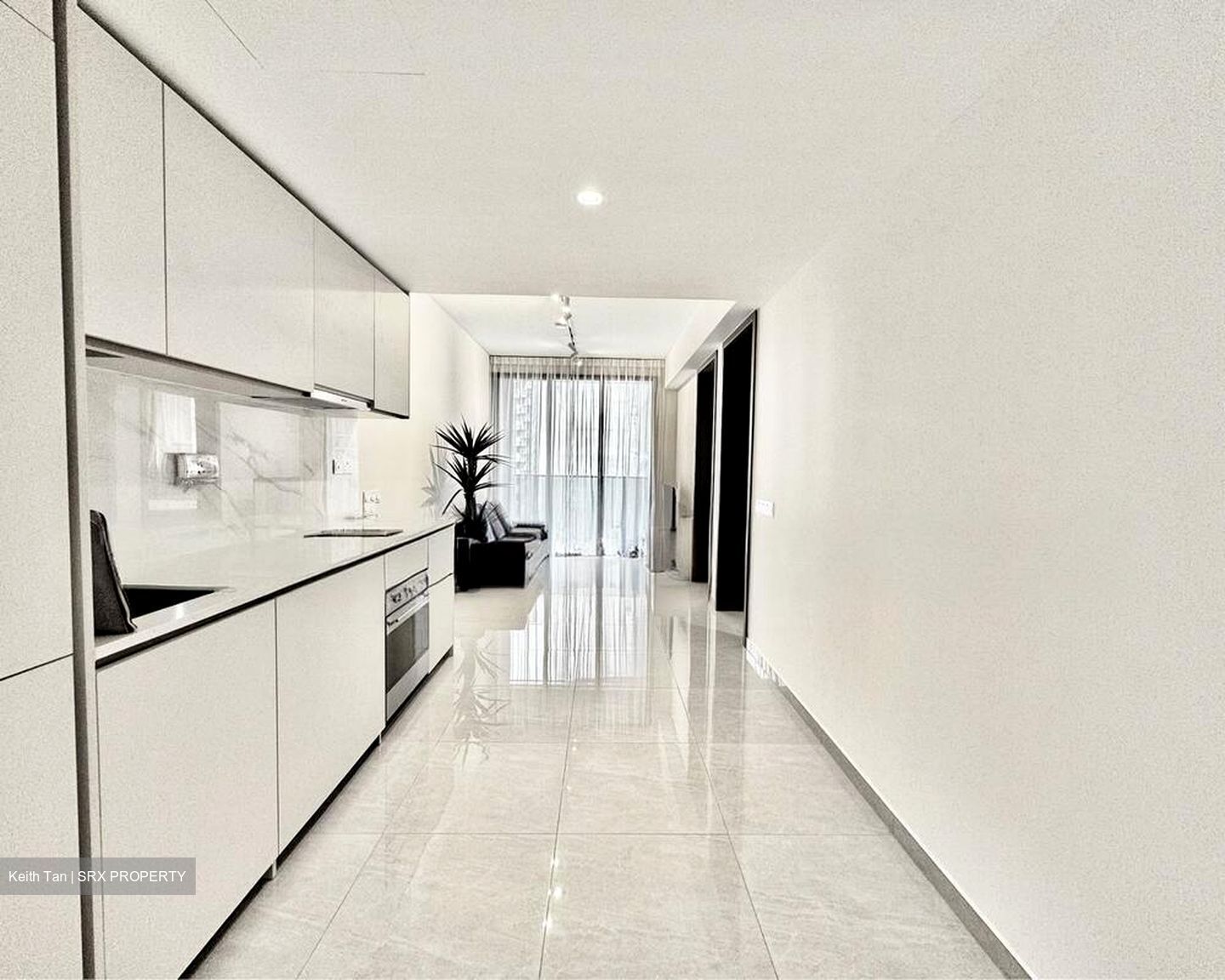 Kopar At Newton (D9), Apartment #523416811